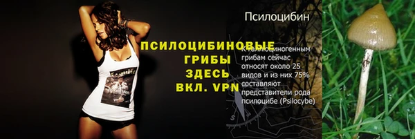 крисы Козловка