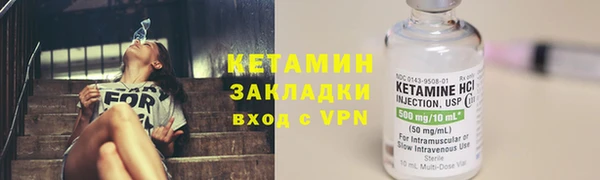 крисы Козловка
