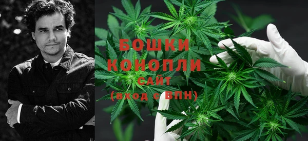 крисы Козловка