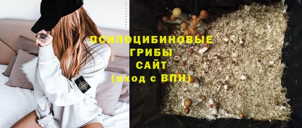 крисы Козловка