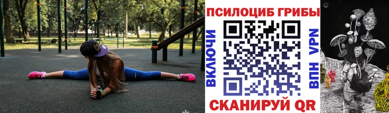 Купить закладки  Жуков  Псилоцибиновые грибы Psilocybe 
